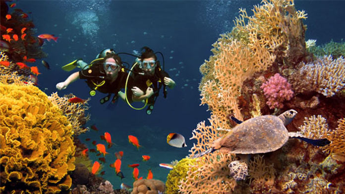 Imagen empresarial de buceo
